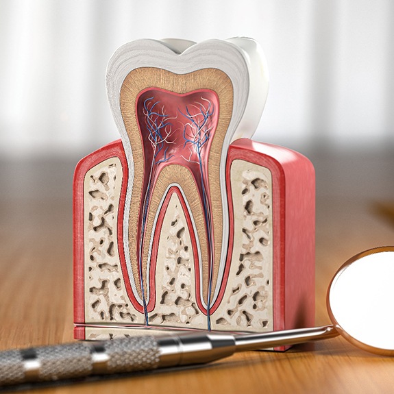 Model of the inner structure of a tooth next to dental mirror